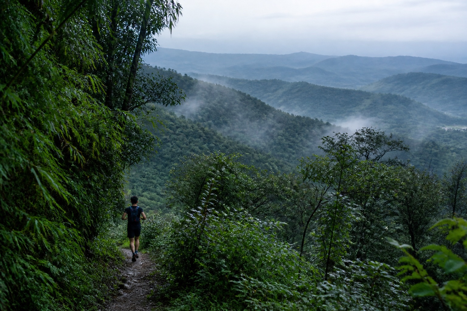 A trail runner on a misty forest ridge in the Longquan Mountains near Chengdu