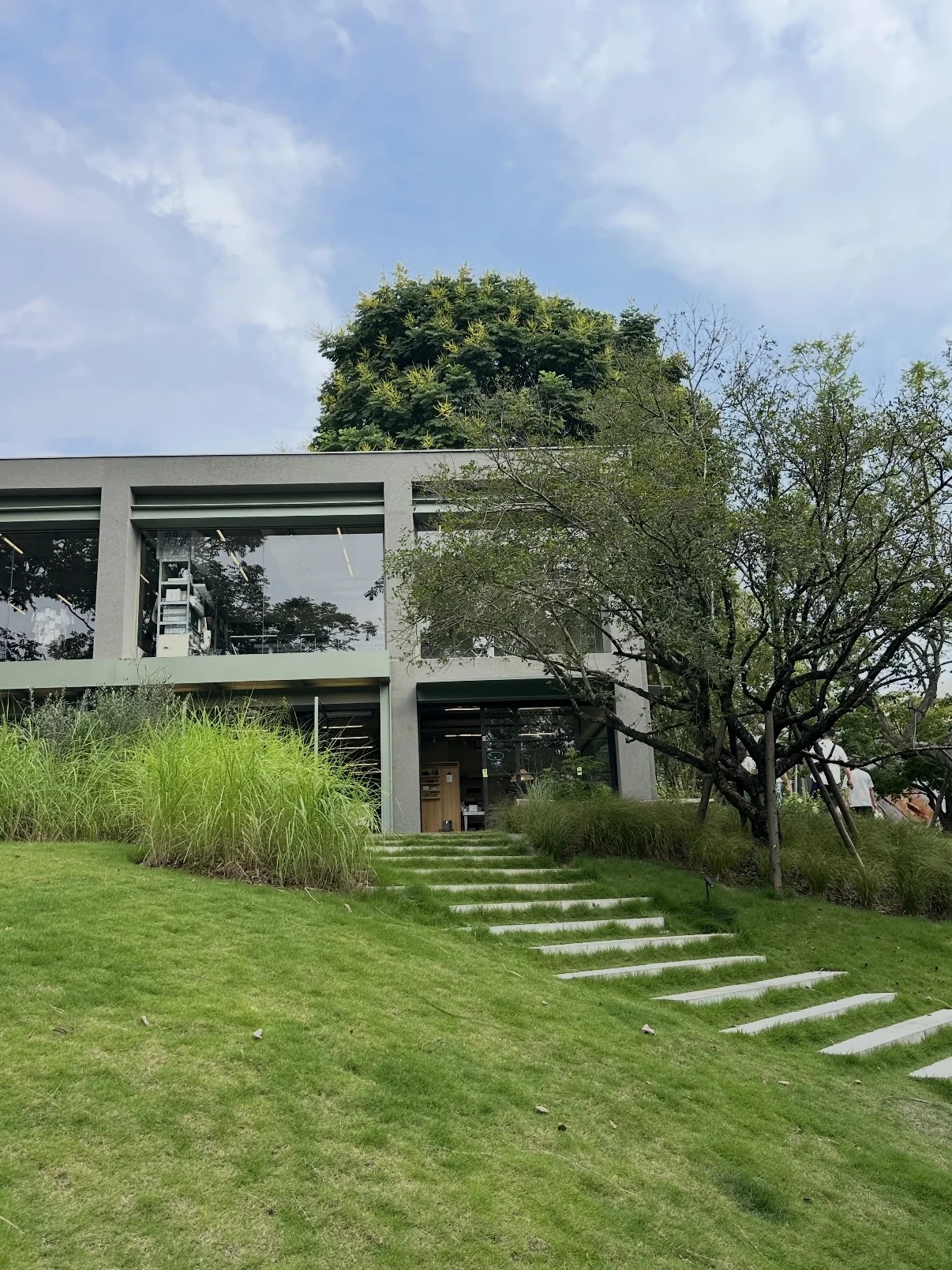 Grass-lined steps leading to a building with large windows at Luxelakes CPI.