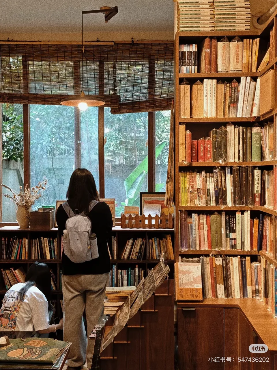 Readers browsing wooden bookshelves beside a window inside Tuibuji; original RedNote watermark retained