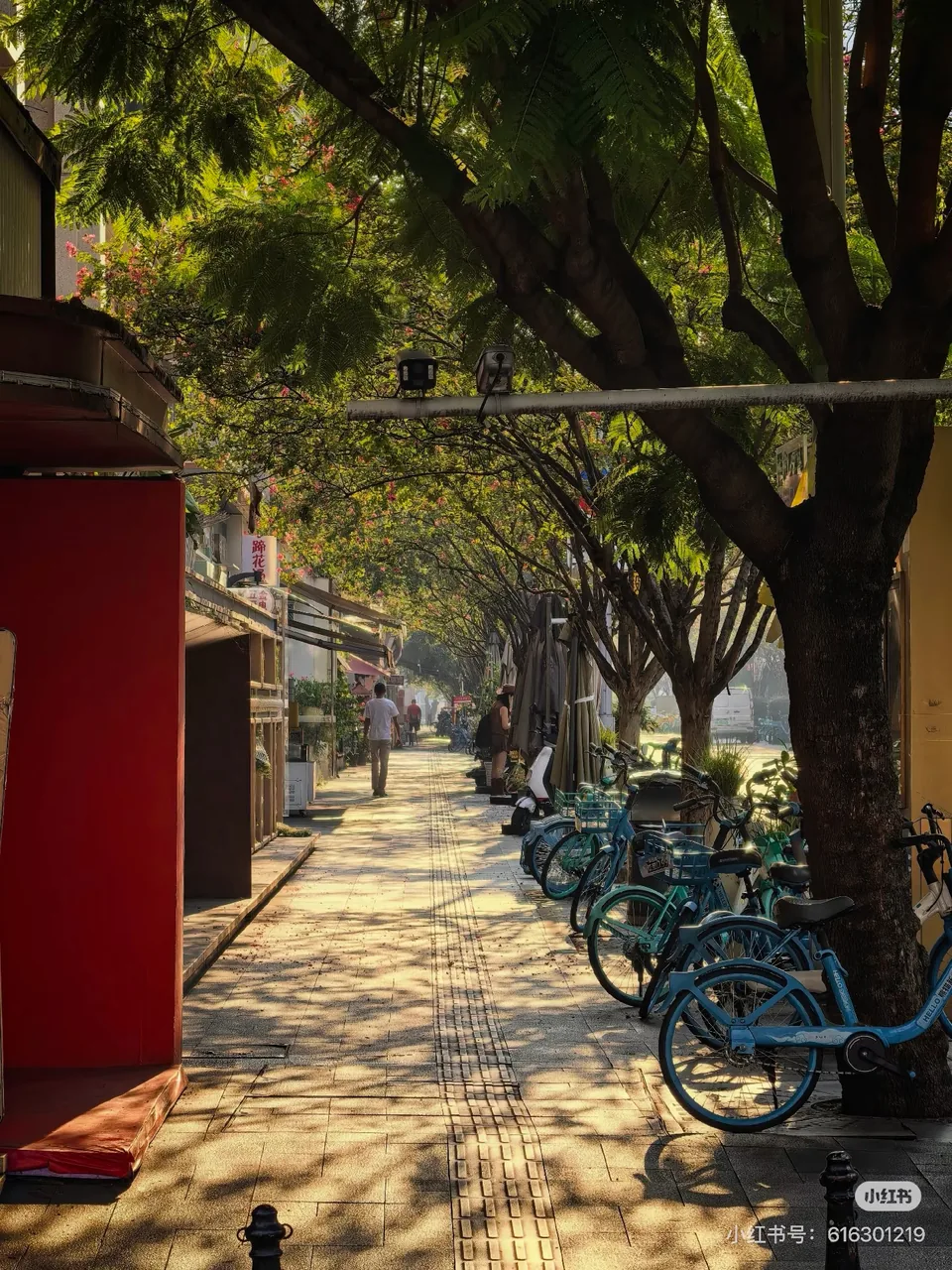 Warm sunlight falling across a tree-lined pavement with storefronts and parked blue bicycles; original RedNote creator watermark at the lower right